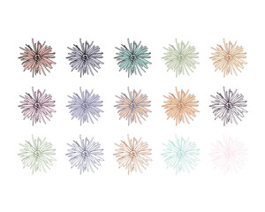 Fototapeta sketch of vector chrysanthemum flowers, ink drawing, colorful, silhouette obraz