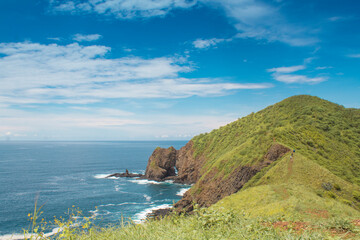 Fototapeta na wymiar beautiful path with ocean view on a green island in Costa Rica