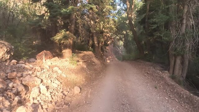 Mountain valley off road sports vehicle POV. Nature in natural environment. Recreation, hiking, and fishing ponds. Campground destination and off road jeep, truck and ATV fun.