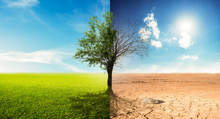 Hitze - Dürre - Klimawandel