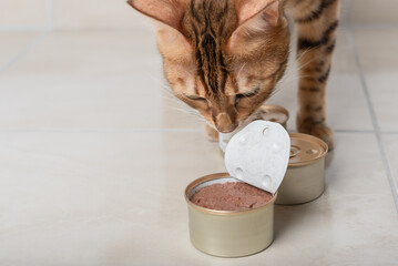 The cat is looking at an open can of food.