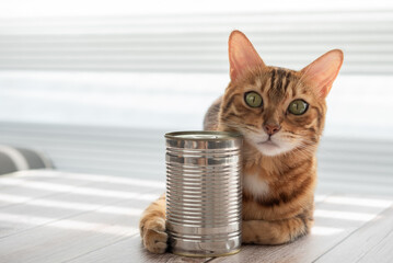 A domestic cat lies and hugs a tin can with one paw.