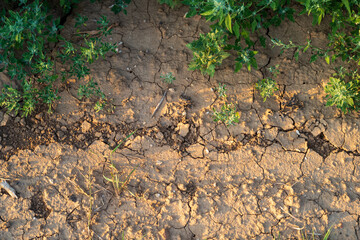 cracked soil in a draught