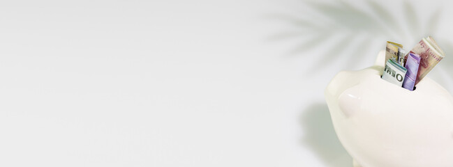 Savings and investment banner. White piggy bank with banknotes of different countries on a blue background with palm shadow and copy space. Soft focus, banner size