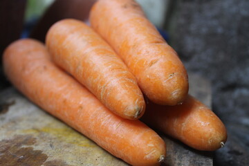 Carrots are biennial plants that store large amounts of carbohydrates for the plant to flower in the second year.