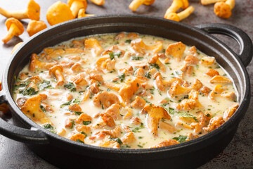 Chanterelle mushrooms are stewed in cream wine sauce closeup in a pan on a table. Horizontal