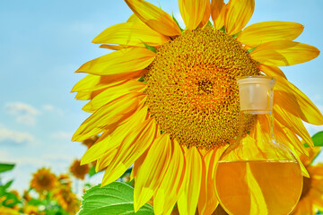 Glass flask with sunflower oil.