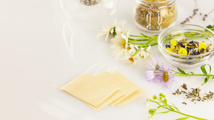 Natural, homemade, herbal tea from wild plants and flowers. Home herbal apothecary concept. Eco friendly composition with natural flowers and herbs, tea bags on a white background with copy space