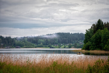 Fototapeta premium a forest lake