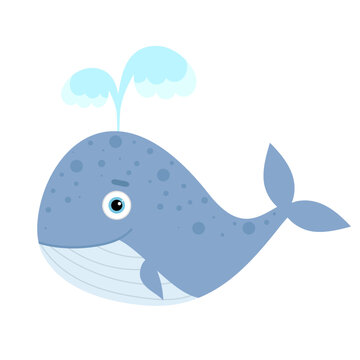 whale. illustration of a whale with a water fountain