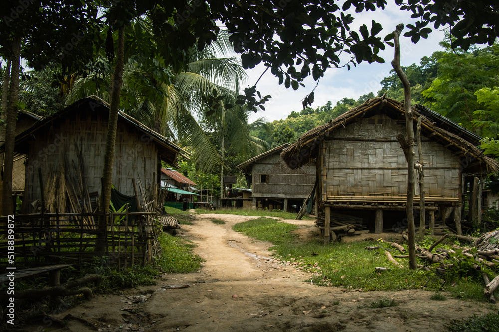 Wall mural Rural village houses with dirt a road and long trees. Country landscape photograph at Bandarban, Bangladesh with tree logs. Green tree background with typical village hut for tourists.