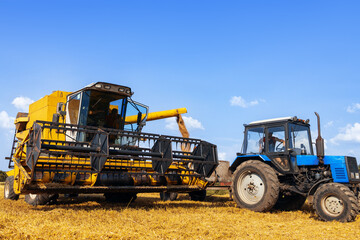 Obraz premium combine harvester and tractor with carriage in ripe wheat field