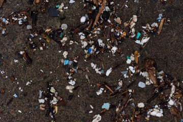 小笠原　海に浮かぶ木くずとプラスチックごみ