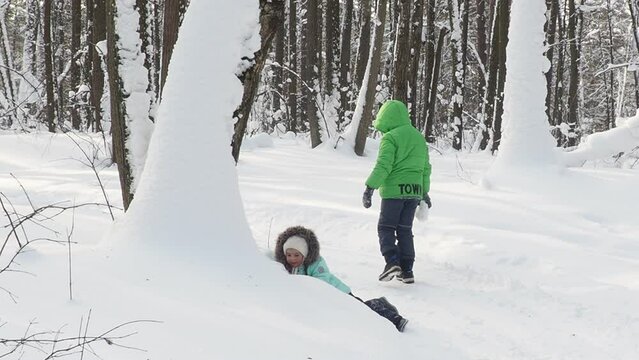 A family with children walks in the winter in the forest. Boy and girl on a walk in the forest or park. play, throw snowballs, wallow in the snow, snow angel. Holidays for Christmas, New Year.
