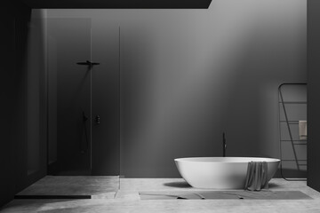 Naklejka na ściany i meble Grey bathroom interior with bathtub and douche. Mockup empty wall