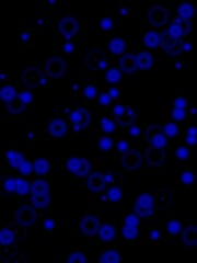 Blue black background with particles