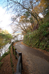 Path along the river in late autumn