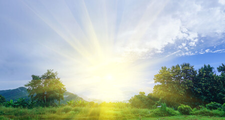 Lanscape, blue sky, white clouds, golden sunlight naturally illuminated with green trees on the forest garden.