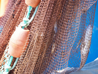 Single fish in a fisher net on a boat
