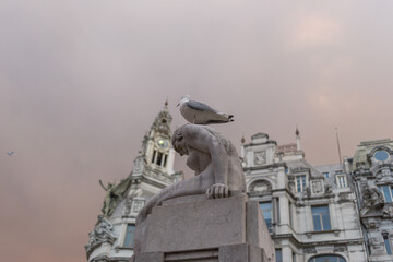 A seagull sitting on a statue in Porto, Portugal