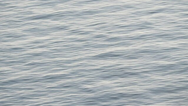 Blue grey sea water surface at cloudy sunless day.  Nature background.