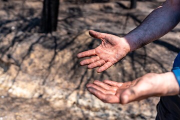 Hands of a firefighter man in the forest fire, burned forest, climate change