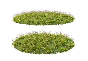 Flower garden on a white background