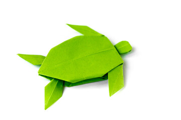 Green paper turtle origami isolated on a white background