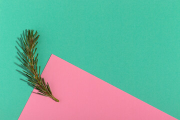 Small Christmas tree twig on a pink and aquamarine background. Xmas background.