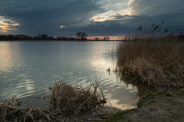 Shore of a lake with reeds and cloudy sky, Stankow, Poland
