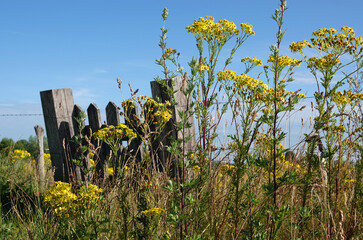 A crooked fence, used in the Netherlands to prevent animals getting out. It's made deliberately...