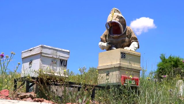 beekeepers harvesting honey from the hive