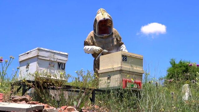 beekeepers harvesting honey from the hive
