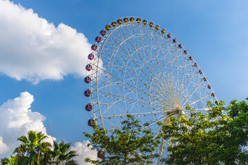 Fototapeta premium ferris wheel in the park