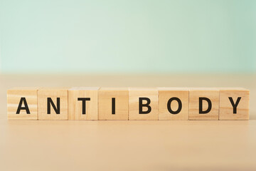 抗体・免疫のイメージ｜「ANTIBODY」と書かれたブロック
