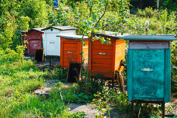 Hives in an apiary with bees. Apiculture.