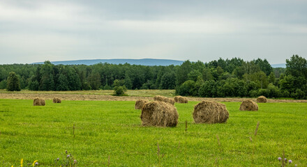 Expanses of Bashkir fields and bales of hay. July 2022
Просторы башкирских...