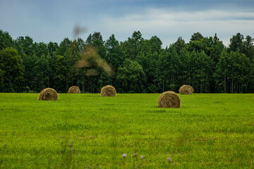 Expanses of Bashkir fields and bales of hay. July 2022
Просторы башкирских полей и тюки с сеном. Июль 2022 год. 