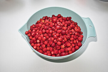 fresh picked wild strawberries