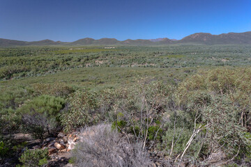 Wilpena Pound, South Australia