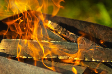 Огонь для барбекю
Barbecue fire