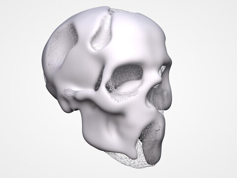 3d illustration of human skeleton skull with liquid abstract effects and shapes with mesh net grid