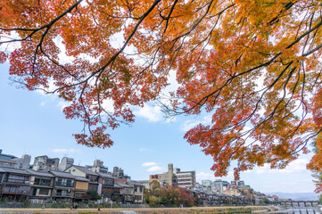 紅葉と鴨川