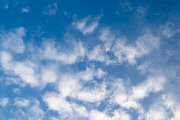 青空　空　晴天　もこもこ雲