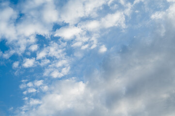 青空　空　晴天　もこもこ雲