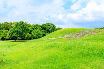 夏の沖出古墳　福岡県嘉麻市　Summer Okiide burial mound. Fukuoka-ken Kama city.
