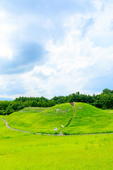 Fototapeta na wymiar 夏の沖出古墳　福岡県嘉麻市　Summer Okiide burial mound. Fukuoka-ken Kama city.