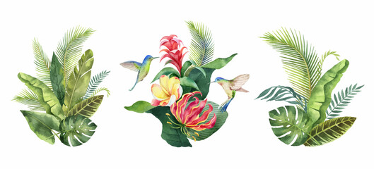 Watercolor vector set with tropical leaves, flowers and hummingbirds.