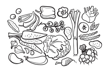 Vegetables doodle drawing collection. vegetable such as carrot, corn, ginger, cucumber, cabbage, potato, etc. Hand drawn vector doodle illustrations in black isolated over white background.