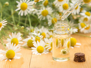 Obraz na płótnie Canvas Essential oil in a glass bottle with fresh chamomile flowers. spa concept. chamomile flowers oil on a wooden table